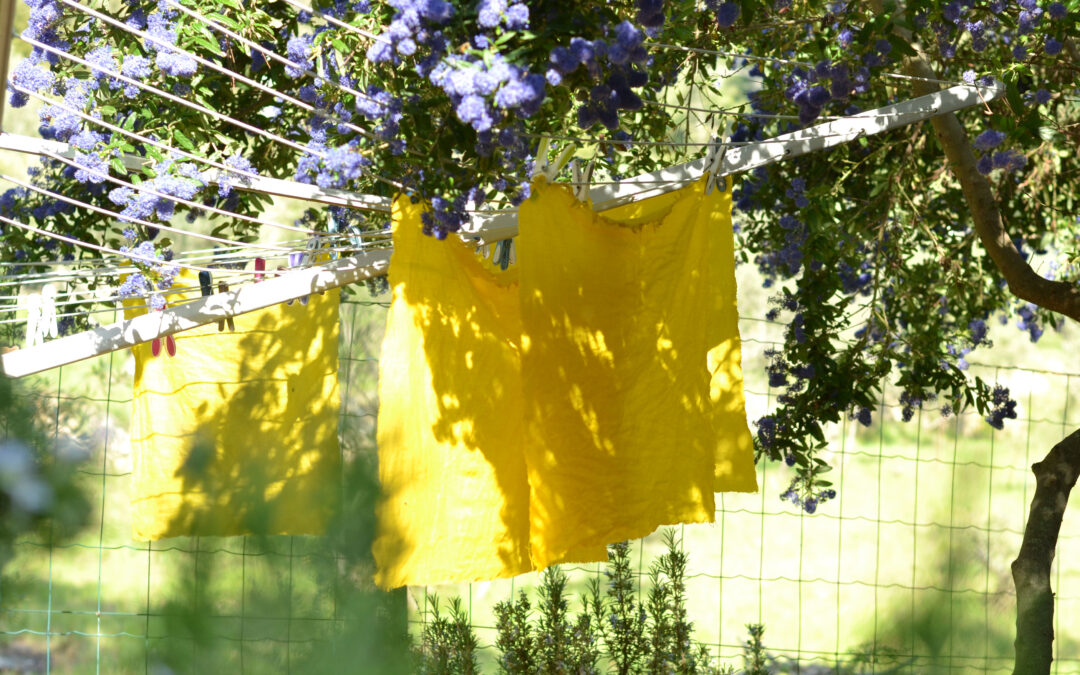 Mordre la couleur