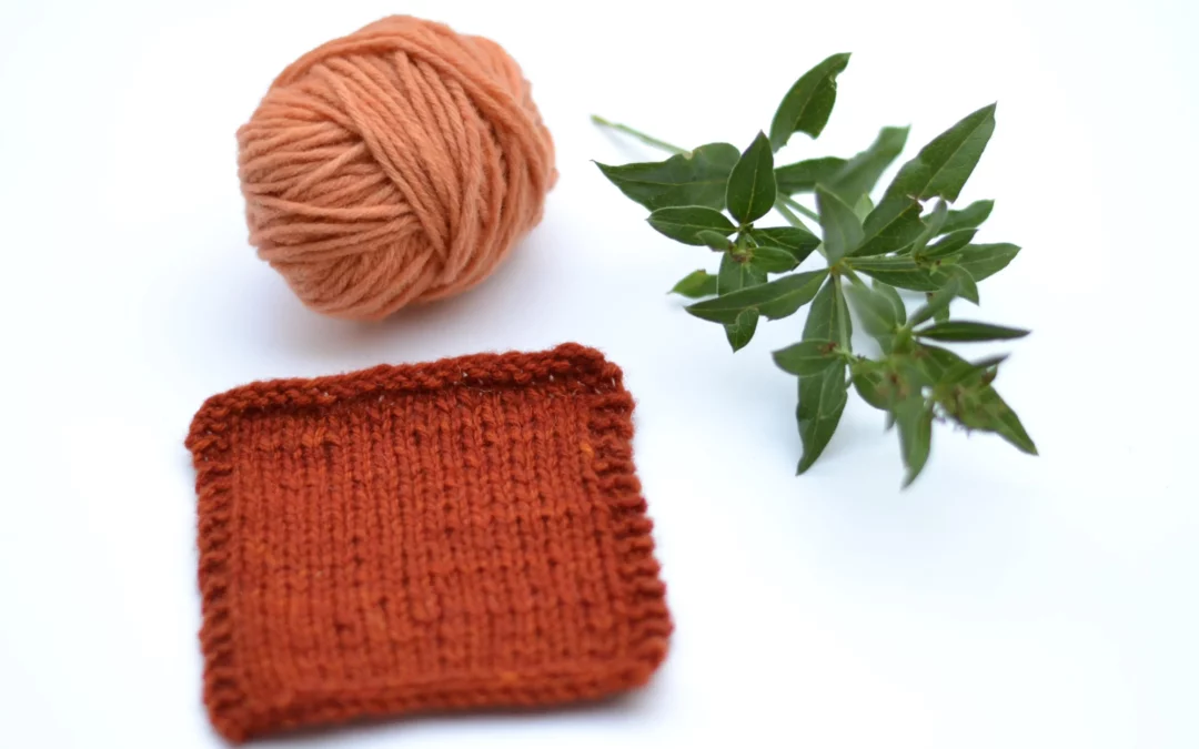 Teindre les fibres naturelles : la laine