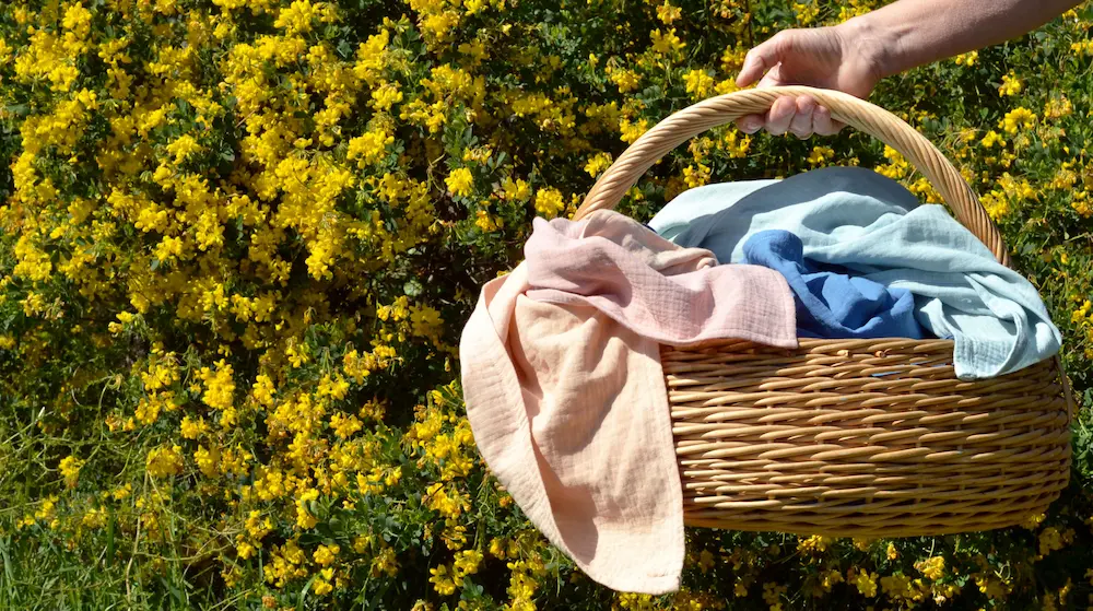 fleurs d'ajonc avec un panier rempli de tissu teint végétalement