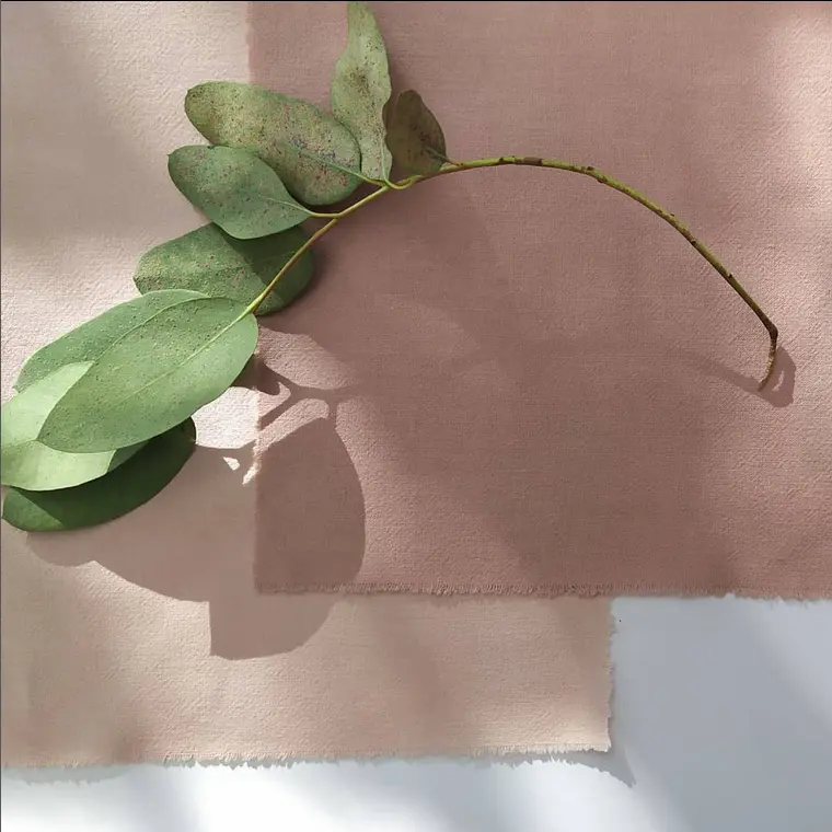 tissu coloré naturellement et branche d'eucalyptus