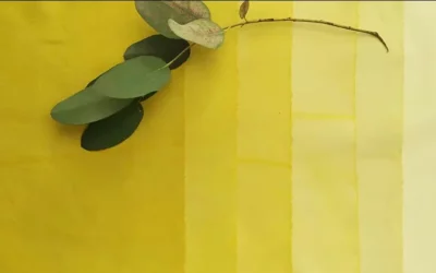 La chimie des plantes