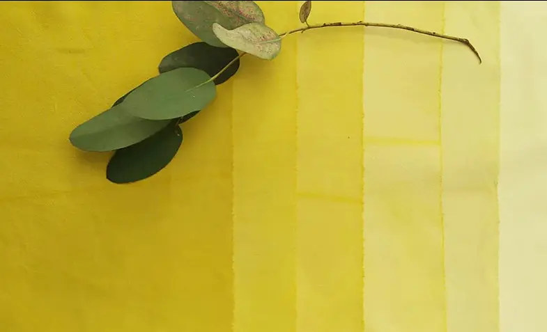 coton teint au réséda et feuille d'eucalyptus