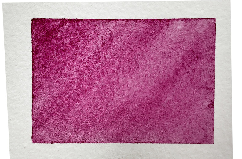 AQ - COCHENILLE PRUNE