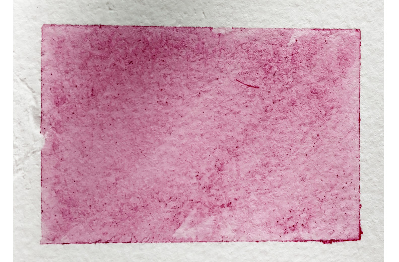 AQ - COCHENILLE