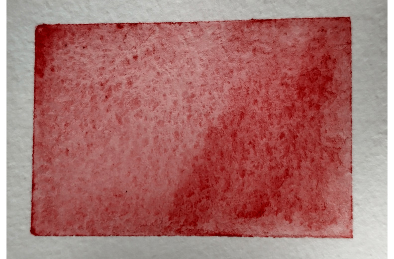 AQ - ROSE GARANCE