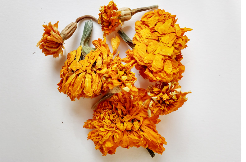 PL - TAGETES
