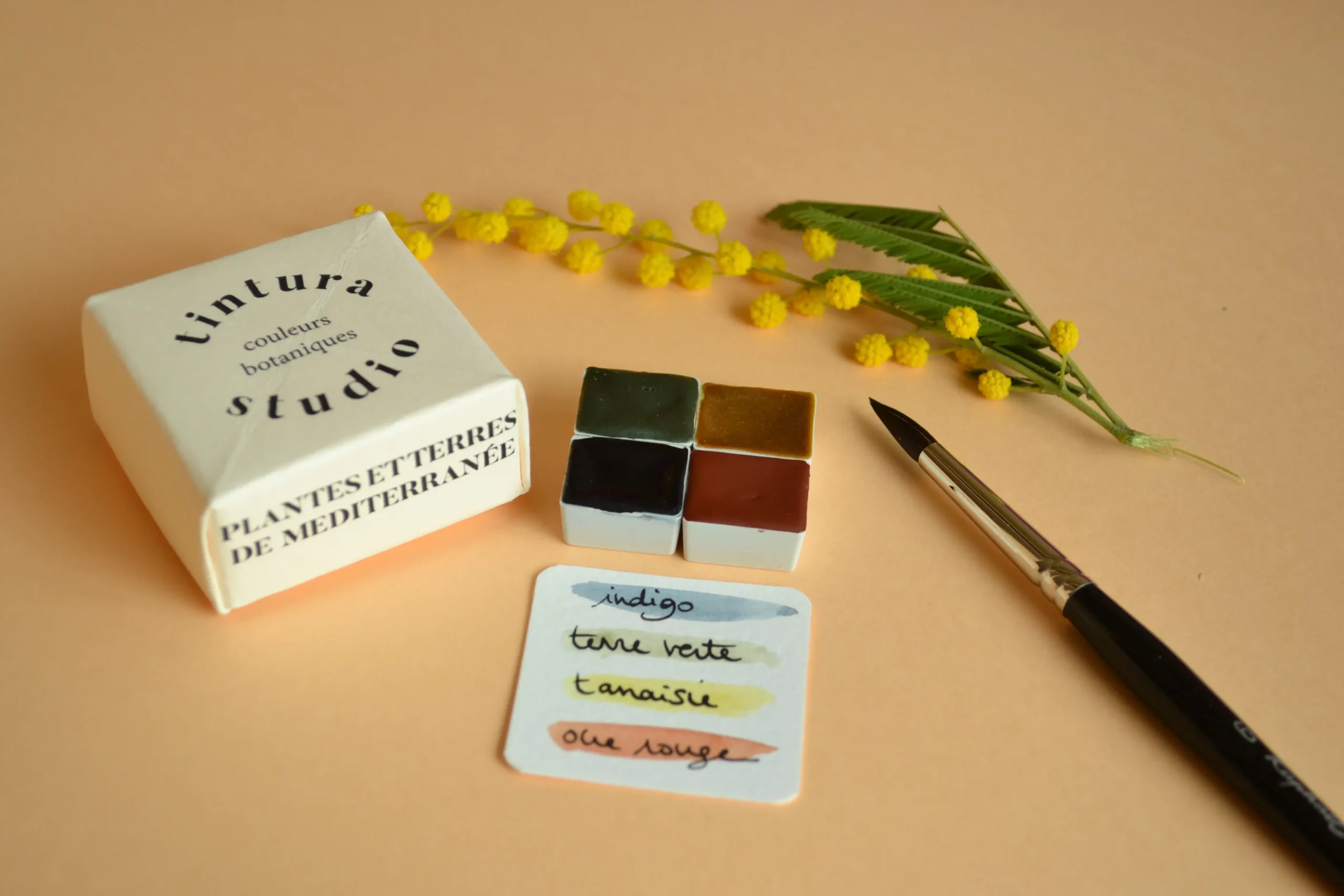 Quatuor "Plantes et terres de Méditerranée"