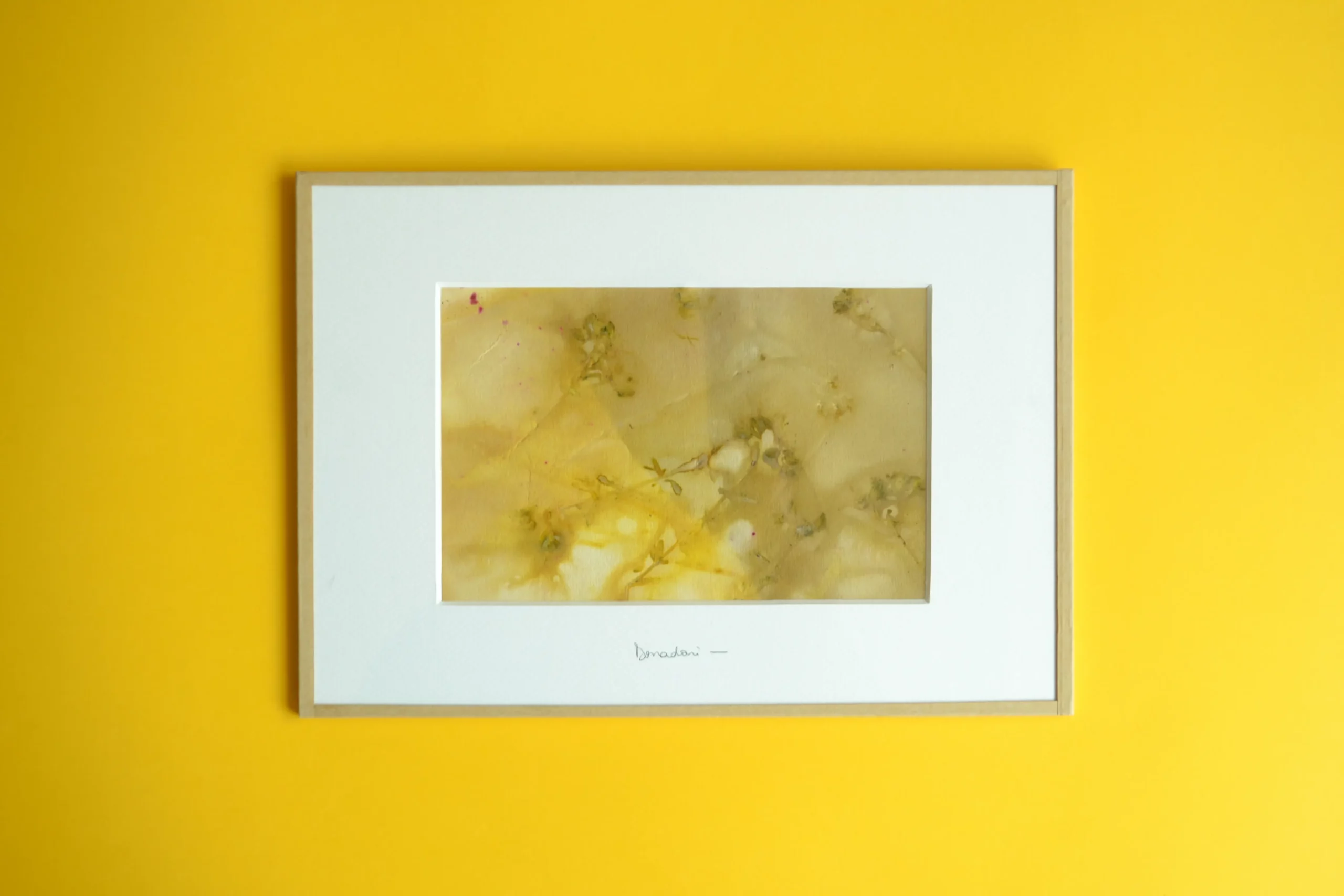 Jaune de printemps